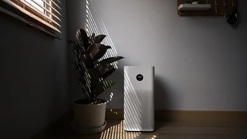air purifier bypass
