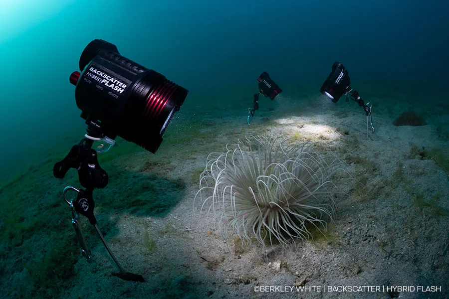Backscatter