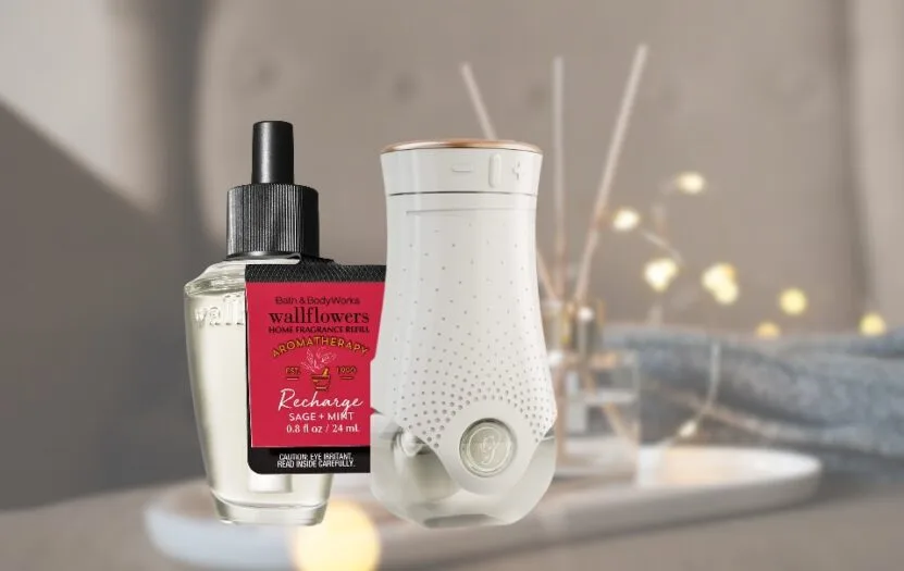 Bath And Body Works Wallflower Plug Alternative