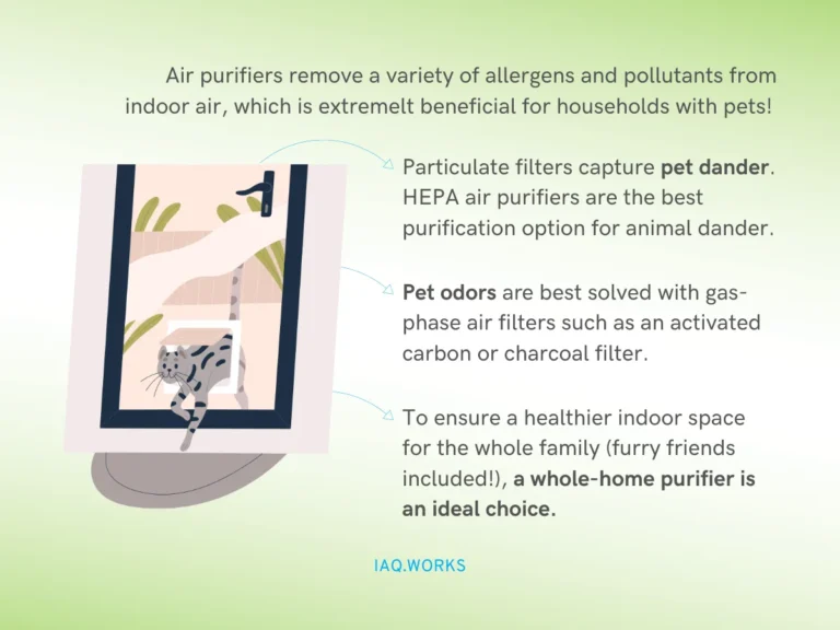 Can Air Purifiers Remove Pet Dander