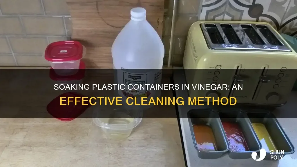 check valve soaking in vinegar