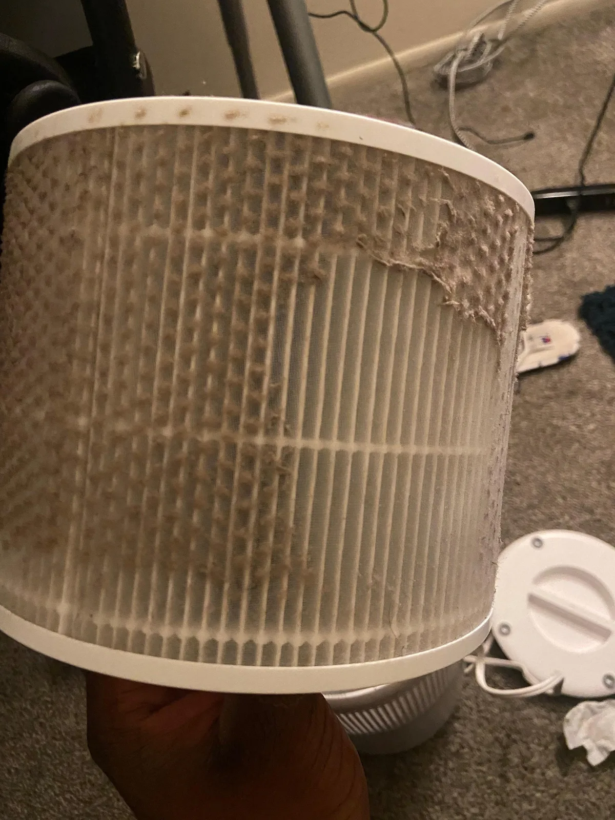 common mistakes kill air purifier
