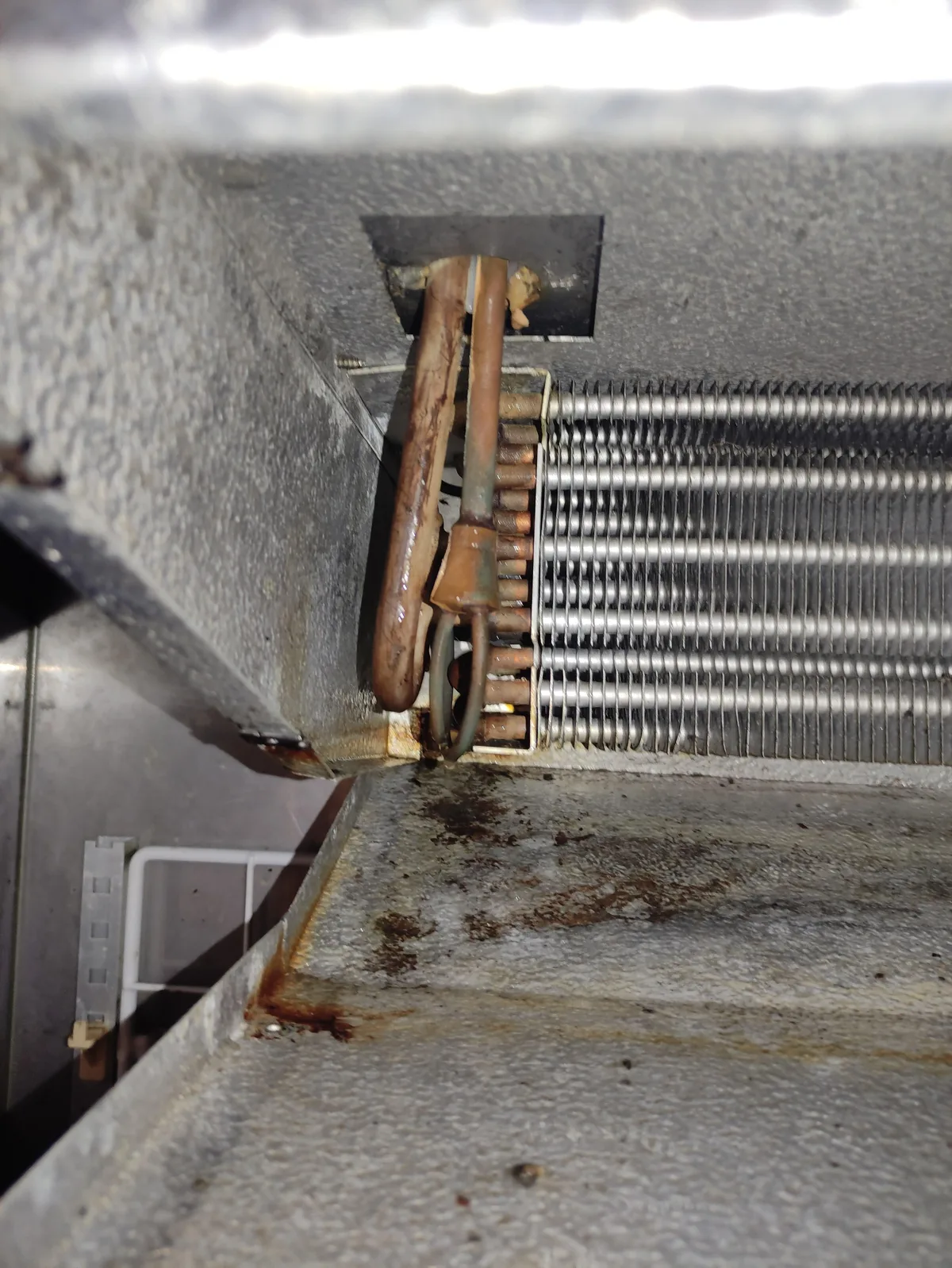 condenser coil dust