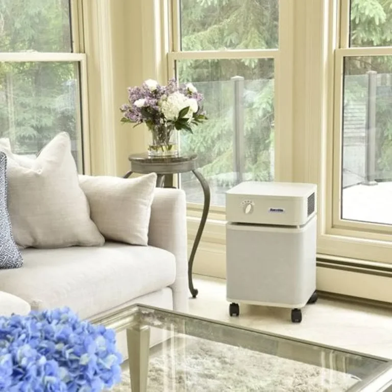 Do Air Purifiers Help With Viruses