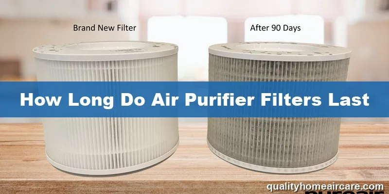 filter vs machine lifespan