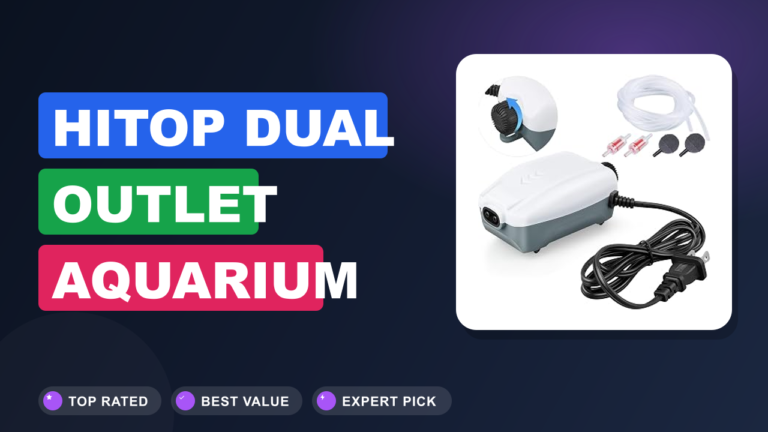 HITOP Dual Outlet Aquarium Electric Air Review