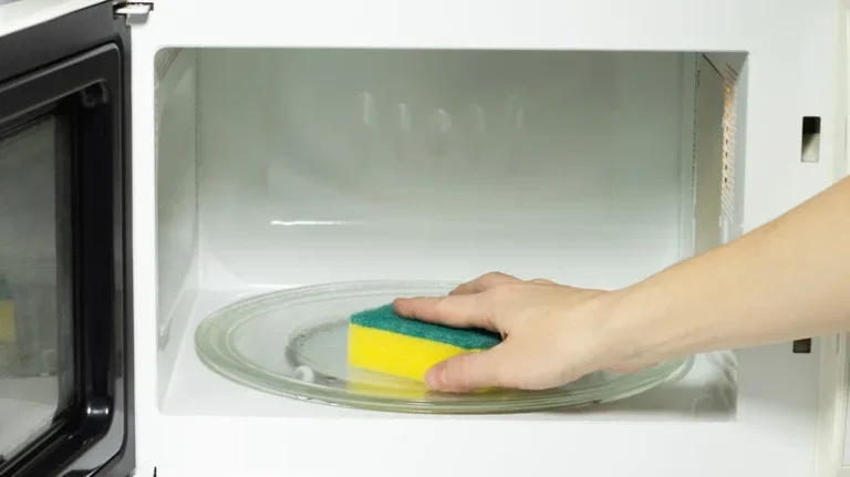 How To Clean Kitchen Sponge In Microwave