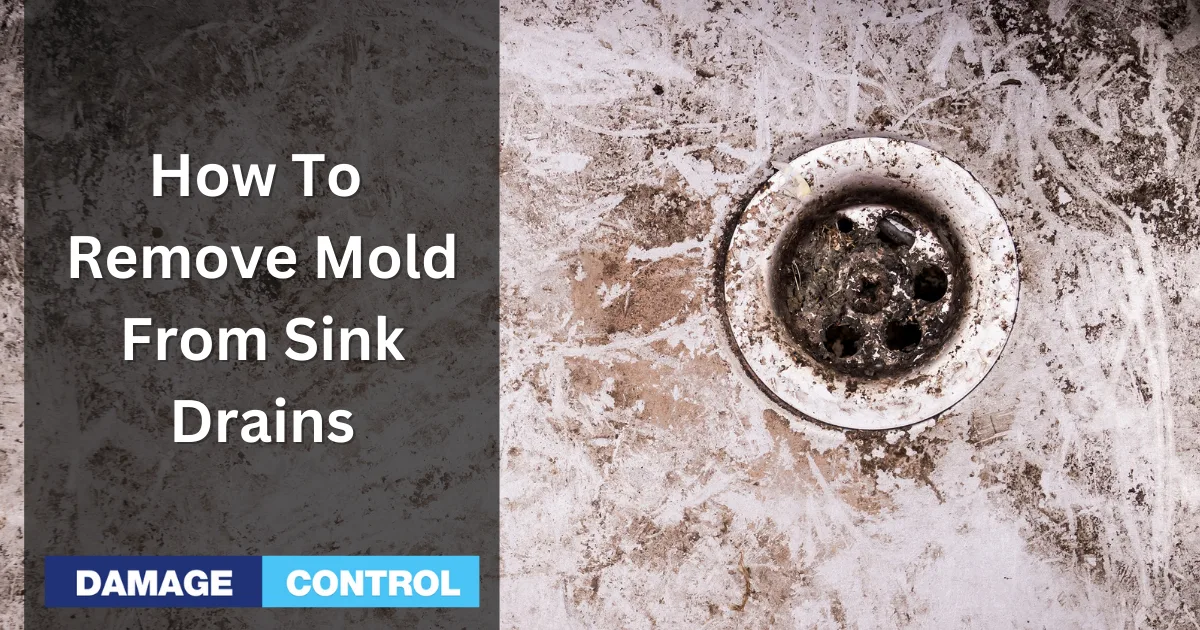 How To Remove Mold Sling From Kitchen Sink