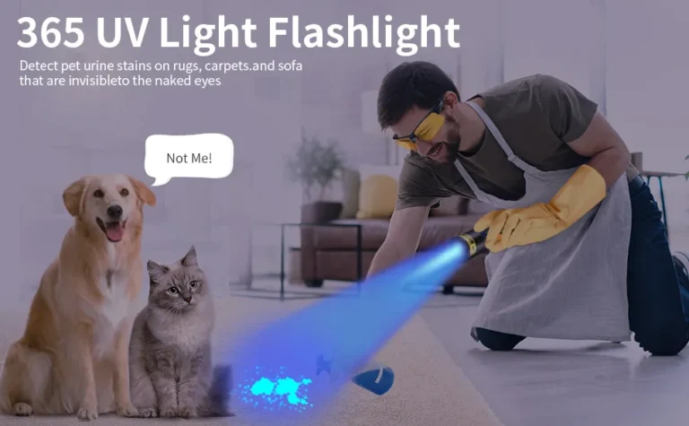 How To Tell If Your House Smells Like Cat