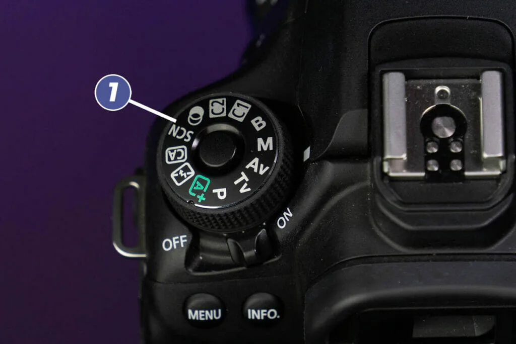 how to use a DSLR camera