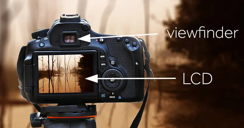 how to use live view on DSLR camera
