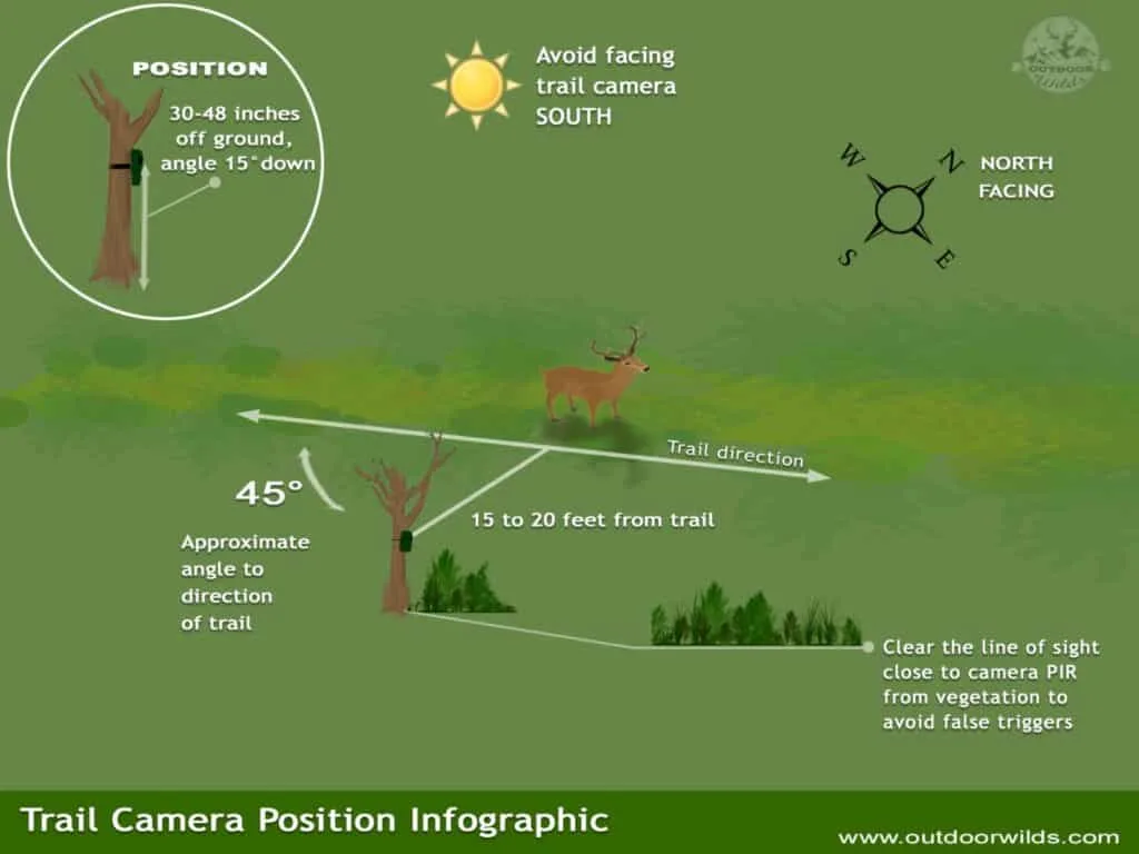 motion detection zone