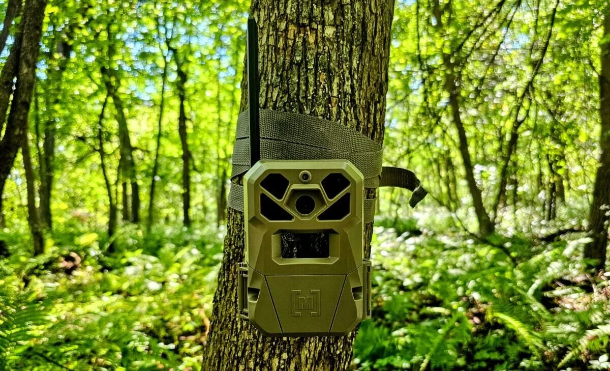Moultrie Mobile Edge cellular problem