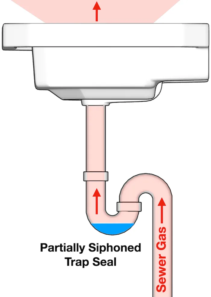 siphonage trap seal loss