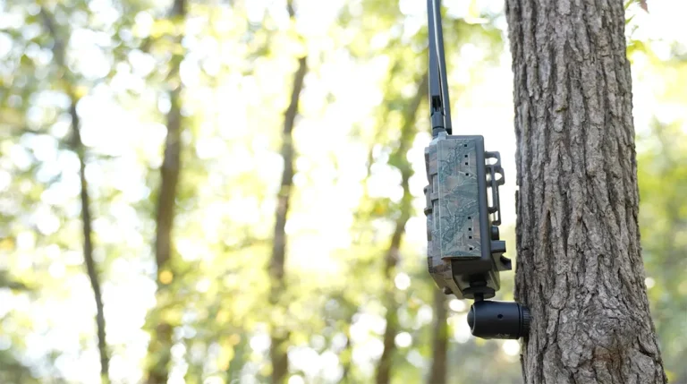 trail camera general troubleshooting