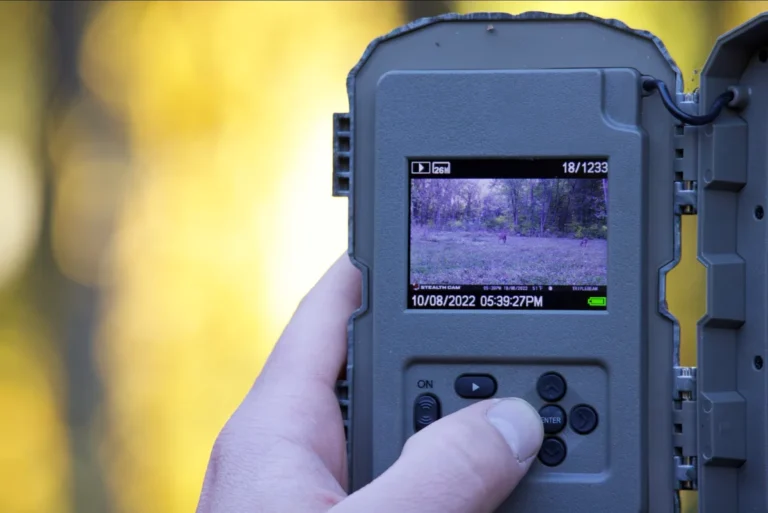 trail camera timestamp wrong troubleshooting