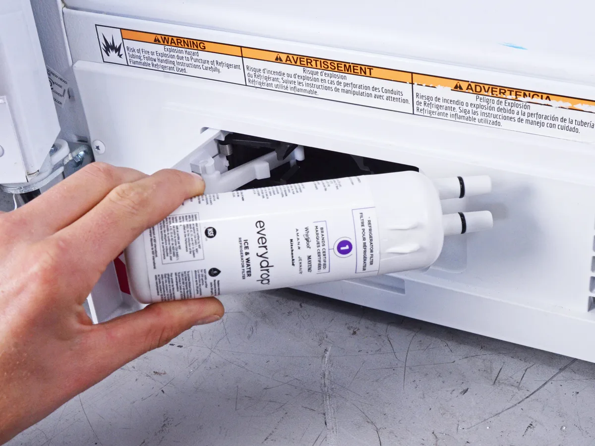 water filter flush procedure